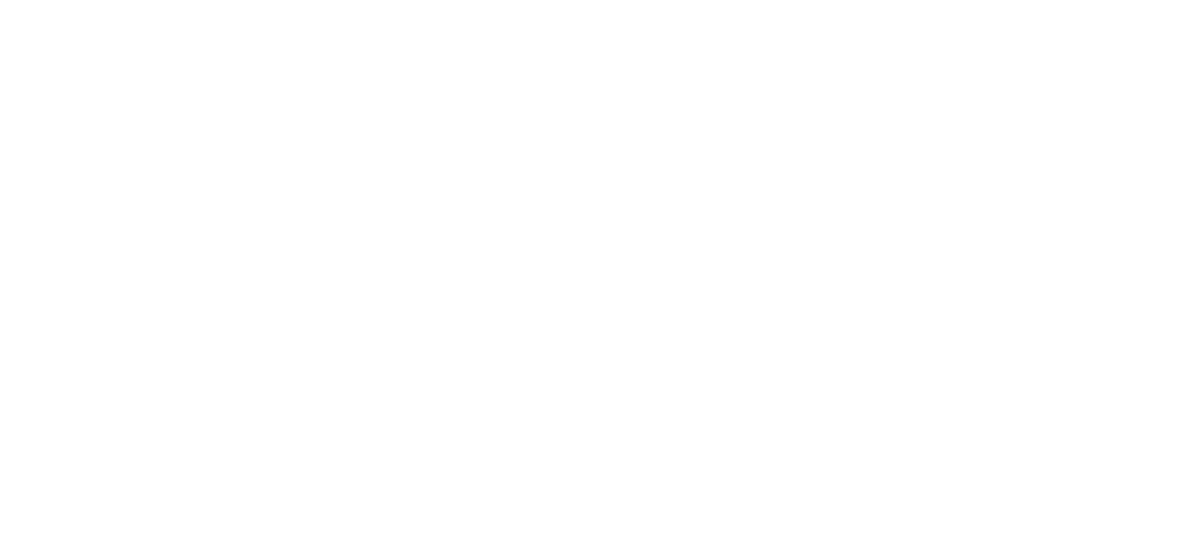 PMO Digital